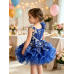 Infant/toddler/baby/children/kids Girl's glitz Pageant evening/prom Dress/clothing G003RY Infant/toddler/baby/children/kids Girl's glitz Pageant evening/prom Dress/clothing G003RY