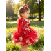 Infant/toddler/baby/children/kids Girl's glitz Pageant evening/prom Dress/clothing  G003Red