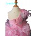 Infant/toddler/baby/children/kids Girl's glitz Pageant evening/prom Dress/clothing  G095-2