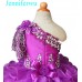 Infant/toddler/baby/children/kids Girl's glitz Pageant evening/prom Dress/clothing 1-6T G115-3