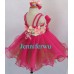 Infant/toddler/baby/children/kids Girl's glitz Pageant evening/prom Dress/clothing  G125A