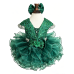 Infant/toddler/baby/children/kids Girl's glitz pageant lace Dress/clothing G515EMER Infant/toddler/baby/children/kids Girl's glitz pageant lace Dress/clothing G515EMER